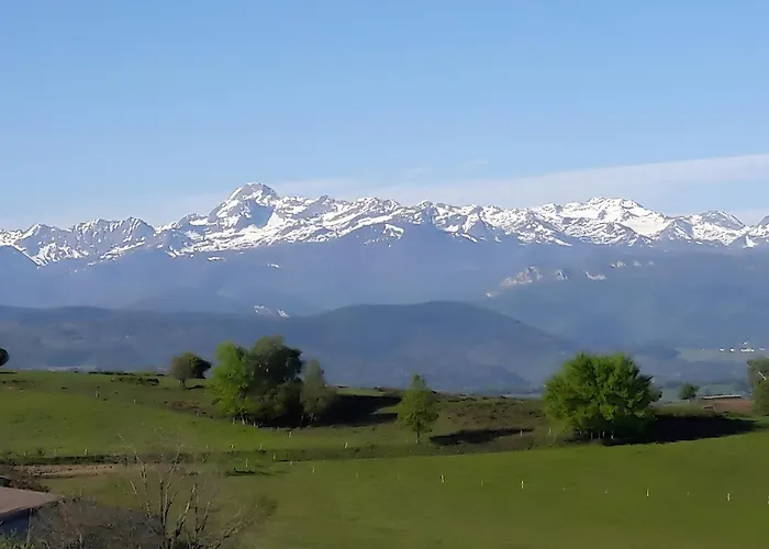 Au Milieu Des Chevaux Merens * Castelnau-Durban